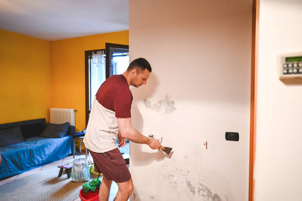 Best Home Mold Removal  in Rialto, CA